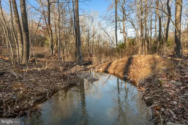 Gore, VA 22637,LOT 4 BACK CREEK RD