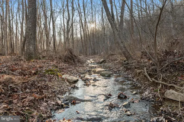 Gore, VA 22637,LOT 4 BACK CREEK RD