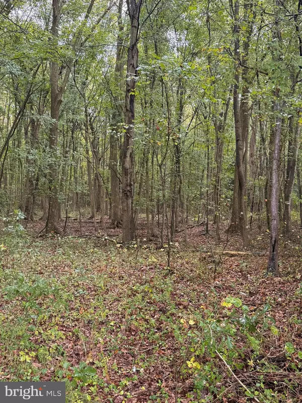 Felton, DE 19943,BLACK SWAMP ROAD