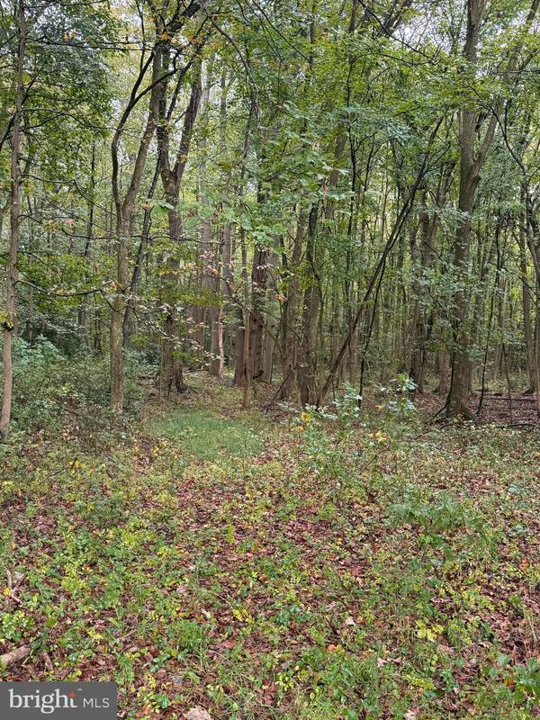 Felton, DE 19943,BLACK SWAMP ROAD