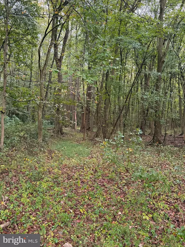 Felton, DE 19943,BLACK SWAMP ROAD