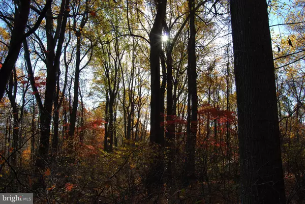 Gerrardstown, WV 25420,LOT C&D OFF PARISH DRIVE