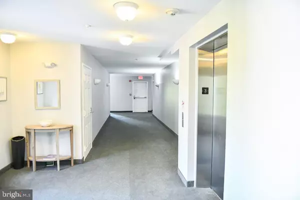 Annapolis, MD 21403,934 BAY RIDGE AVE #308