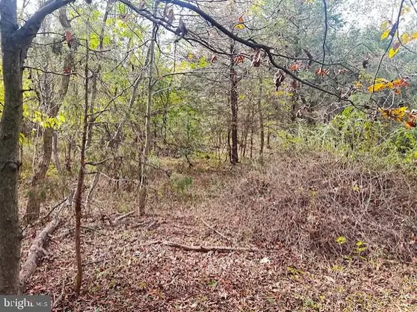 Rocky Ridge, MD 21778,0 MOTTERS STATION RD