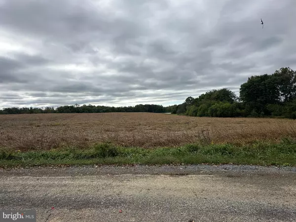 Worton, MD 21678,11047 BOTTOM RD