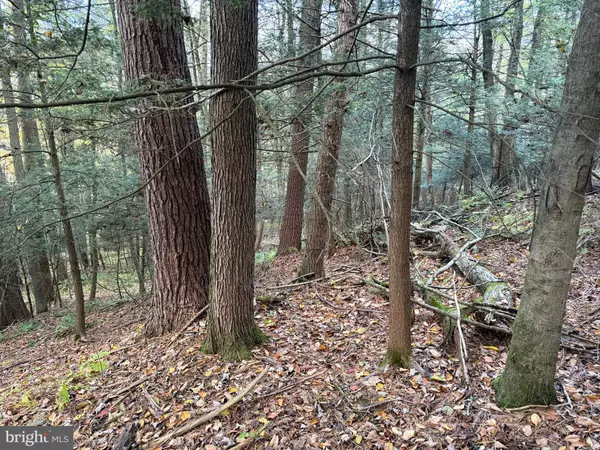 New Bloomfield, PA 17068,1158 LAUREL GRV