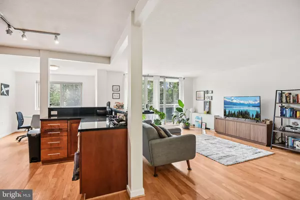 Takoma Park, MD 20912,7333 NEW HAMPSHIRE AVE #311 S