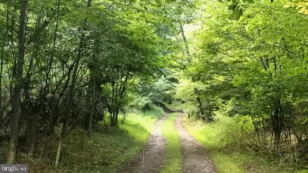 Driftwood, PA 15832,MASON HILL RD