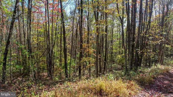 Oakland, MD 21550,18 HOYE CREST RD