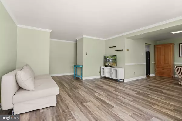 Montgomery Village, MD 20886,10118 LITTLE POND PL #1