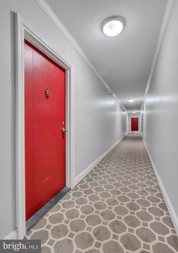 Falls Church, VA 22041,6141 LEESBURG PIKE #504