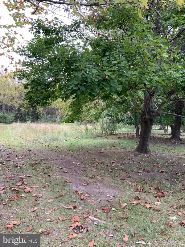 Falling Waters, WV 25419,WILLIAMSPORT PIKE