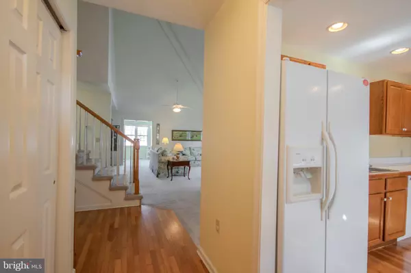 Salisbury, MD 21804,907 WALBASH ST