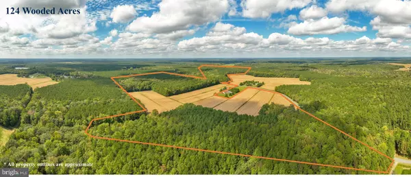 0 BOB SMITH RD, Parsonsburg, MD 21849