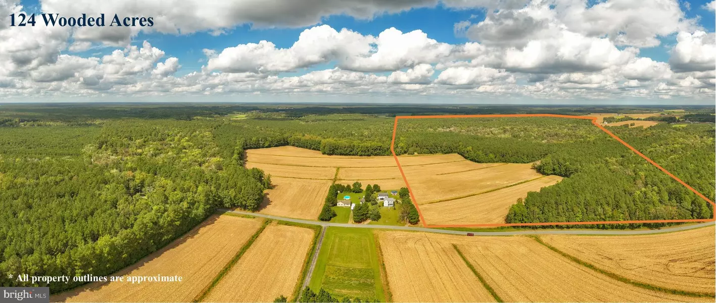 0 BOB SMITH RD, Parsonsburg, MD 21849