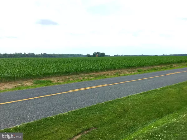 Church Hill, MD 21623,272 GRANNY BRANCH RD