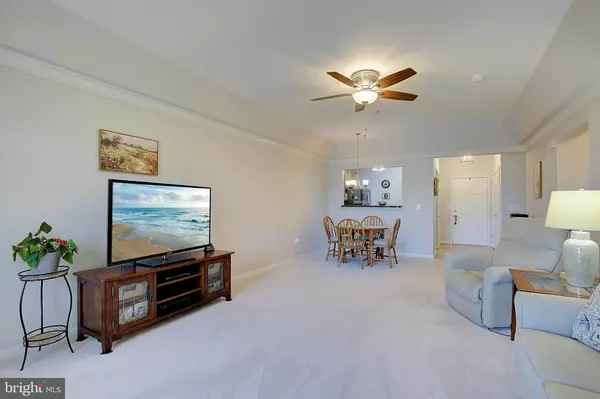 Odenton, MD 21113,8610 FLUTTERING LEAF TRL #208