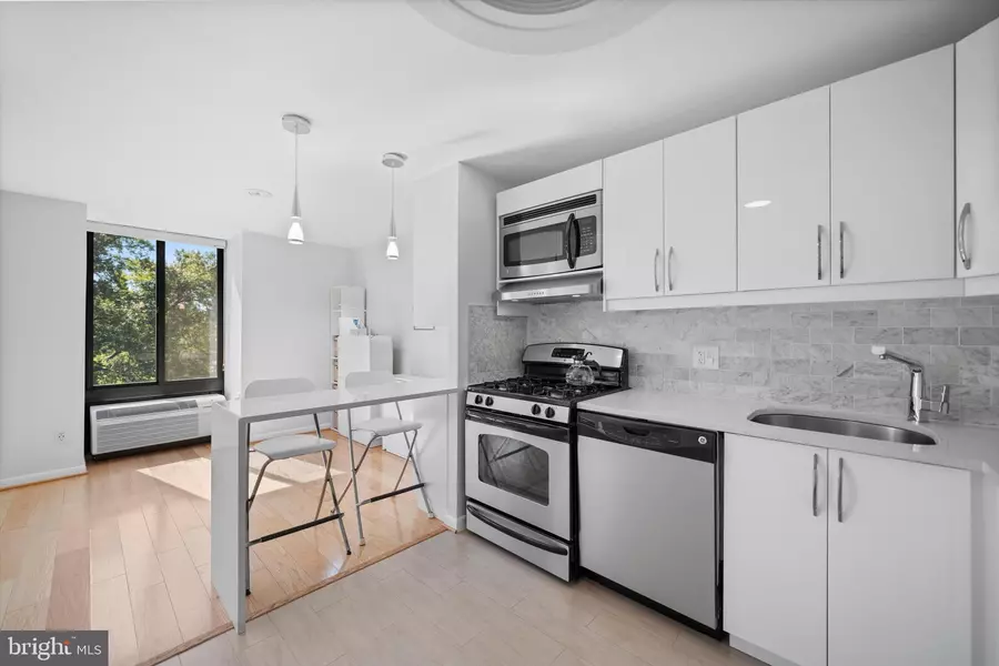 1510 12TH ST N #303, Arlington, VA 22209
