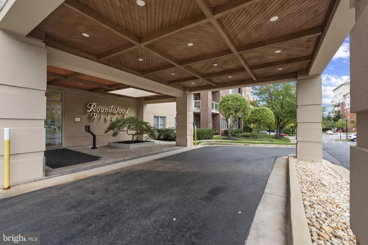 Lutherville Timonium, MD 21093,12240 ROUNDWOOD RD #704