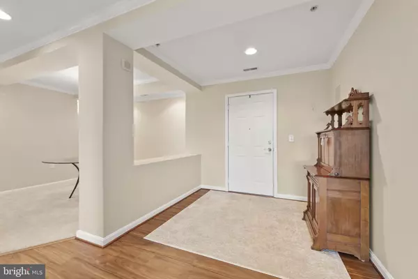 Lutherville Timonium, MD 21093,12240 ROUNDWOOD RD #704