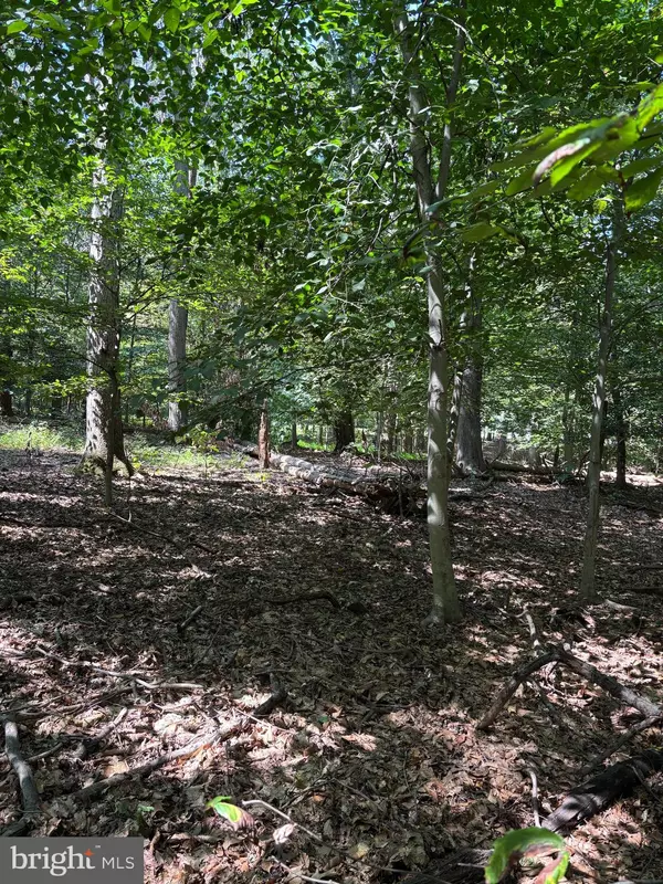 Fort Washington, MD 20744,11409 RIVERVIEW RD