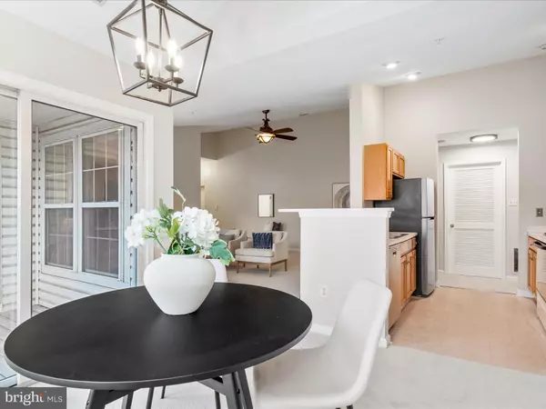 Owings Mills, MD 21117,4933 RIDERS CT #4933