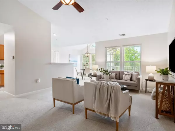 Owings Mills, MD 21117,4933 RIDERS CT #4933