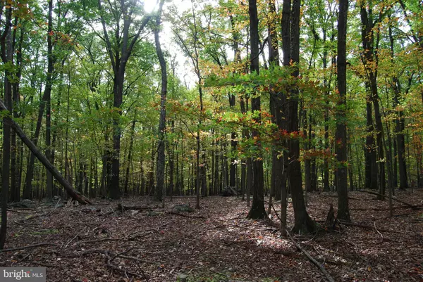 Hedgesville, WV 25427,TERRAIN DRIVE