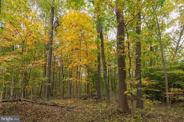 Pottstown, PA 19465,572 ROCK RUN RD