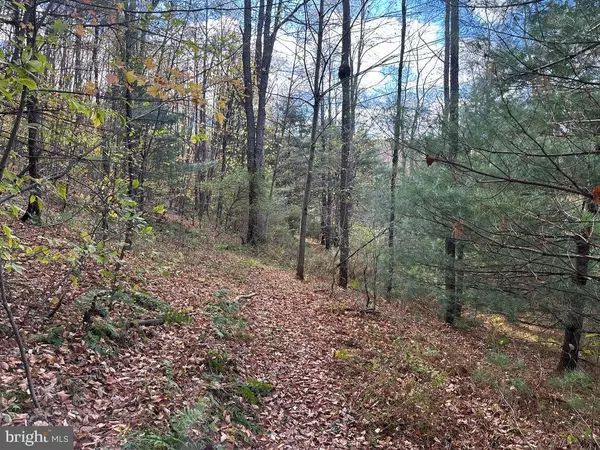 Austin, PA 16720,STATE ROUTE 607