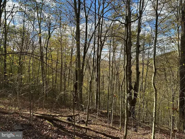 Austin, PA 16720,STATE ROUTE 607