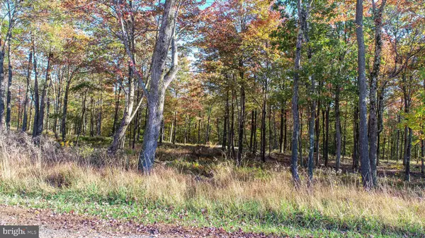 Mc Henry, MD 21541,157 FORK RUN TRL