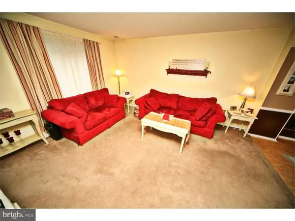 Lumberton, NJ 08048,48 WHITE BIRCH