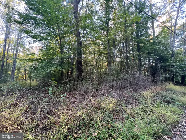 Manassas, VA 20112,8125 PAPPAS DR