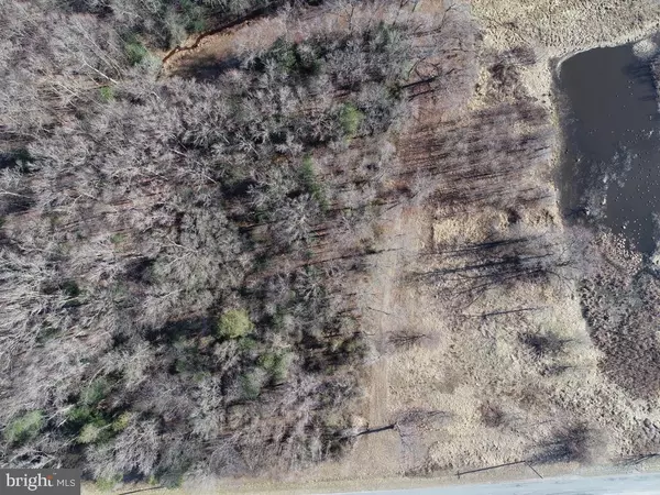 Goldsboro, MD 21636,5.281 ACRES SCHULYER RD