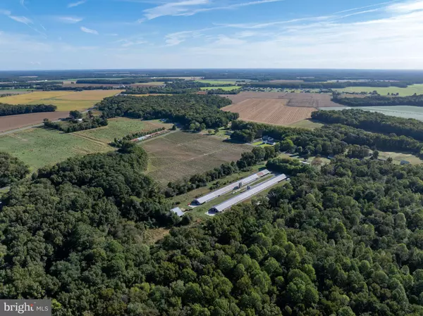 Rhodesdale, MD 21659,6026 COKESBURY RD