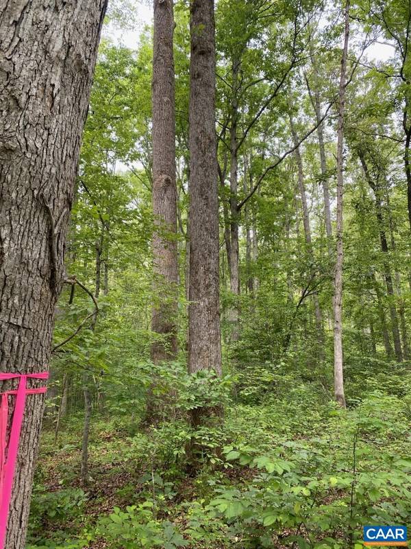 Louisa, VA 23093,LOT 2 WALDROP CHURCH RD