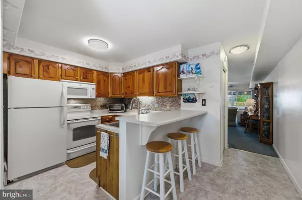 Selbyville, DE 19975,38303 BLUEBIRD LN #354