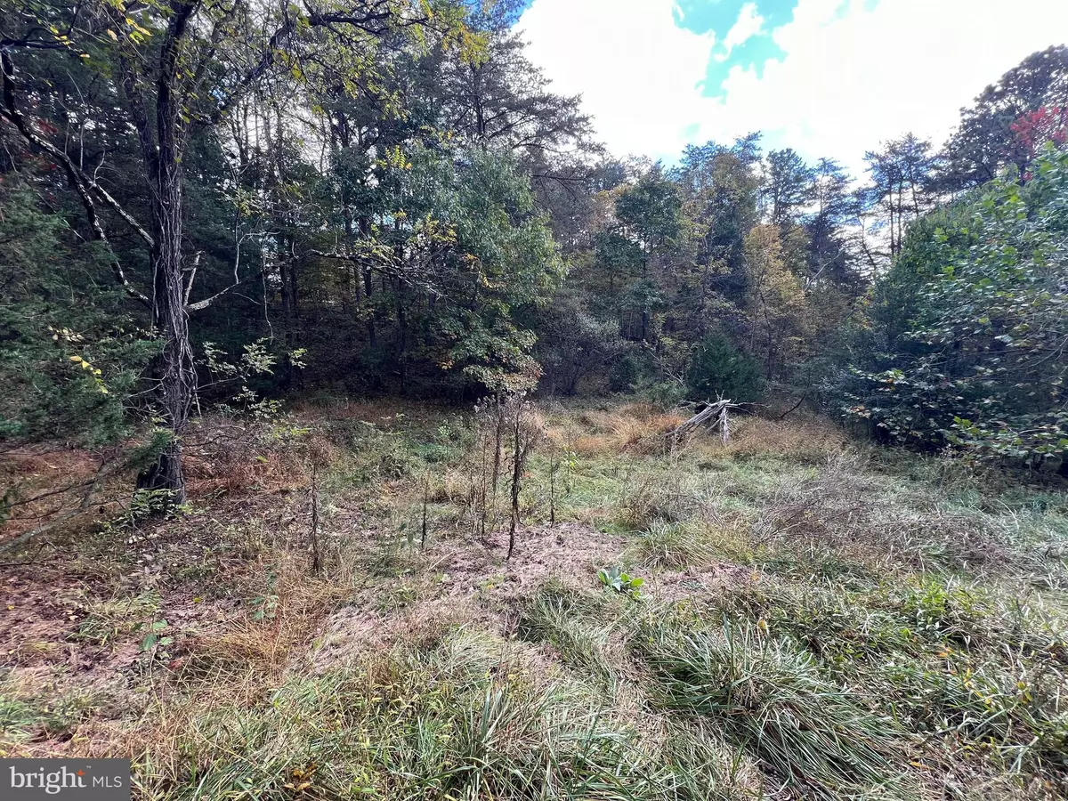 Delray, WV 26714,LOT 6 DEEP RUN HOLLOW RD