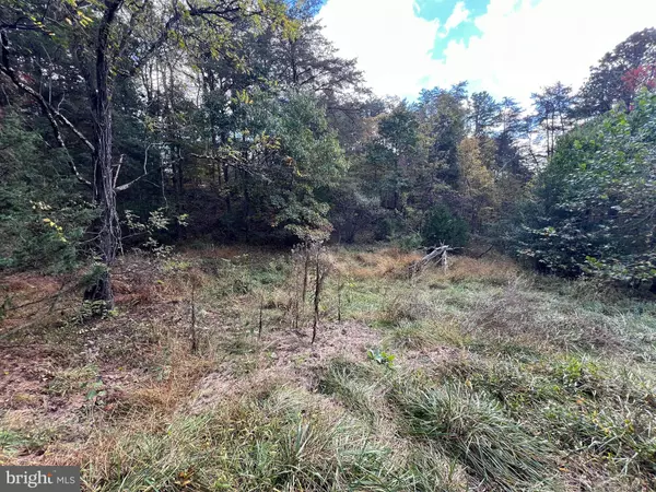 LOT 6 DEEP RUN HOLLOW RD, Delray, WV 26714
