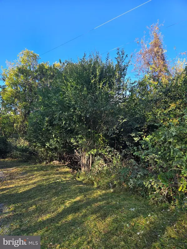 Linden, VA 22642,47 NEWTON