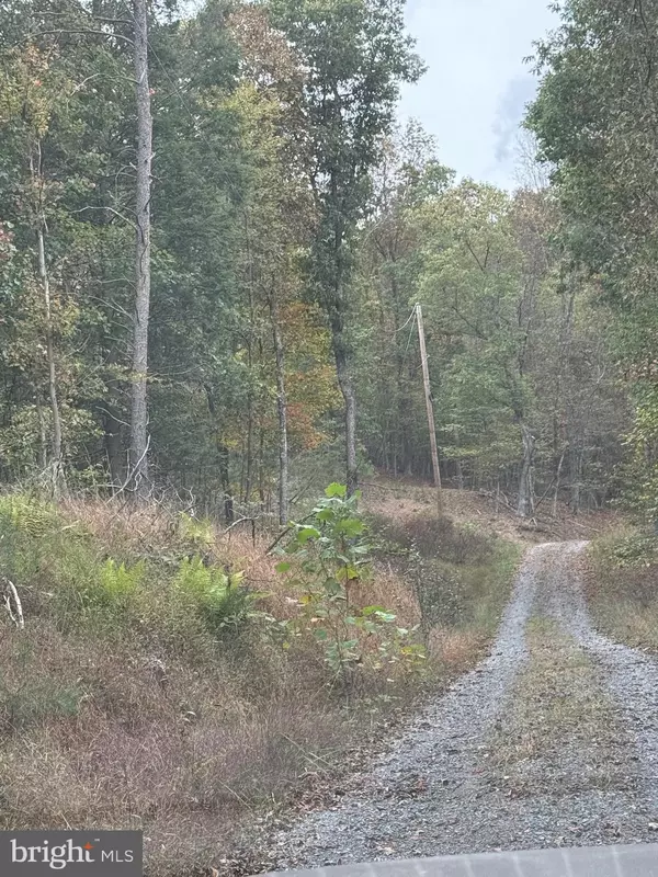 Berkeley Springs, WV 25411,LOT 4 AND 5 POSEY HOLLOW