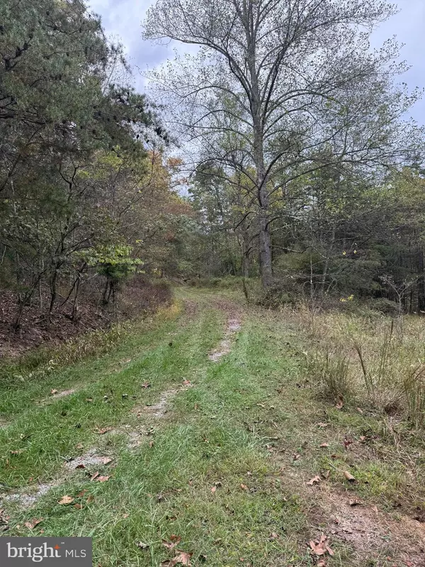 Berkeley Springs, WV 25411,LOT 4 AND 5 POSEY HOLLOW
