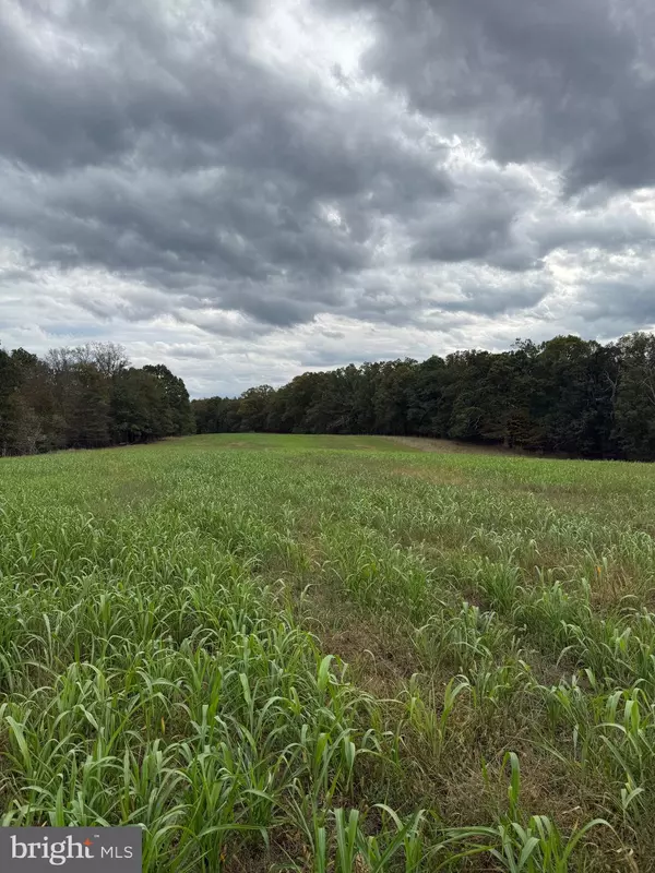 Berkeley Springs, WV 25411,LOT 4 AND 5 POSEY HOLLOW