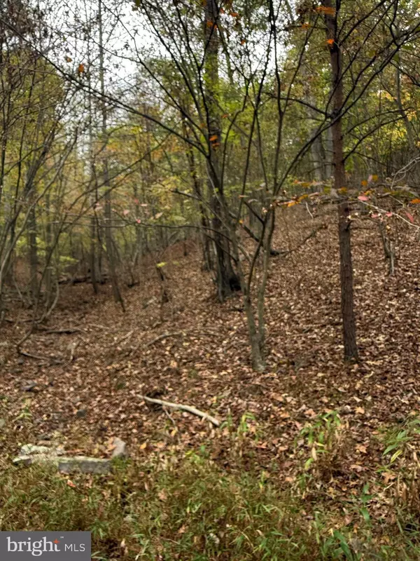 Berkeley Springs, WV 25411,LOT 4 AND 5 POSEY HOLLOW