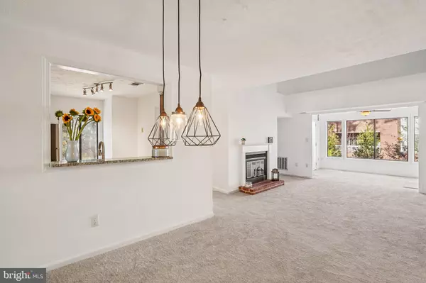 Reston, VA 20191,2203 HUNTERS RUN DR