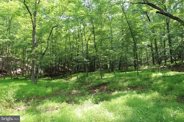 Winchester, VA 22603,859 BRUSH CREEK