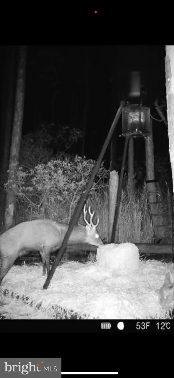 Wingate, MD 21675,2265 WINGATE BISHOPS HEAD RD