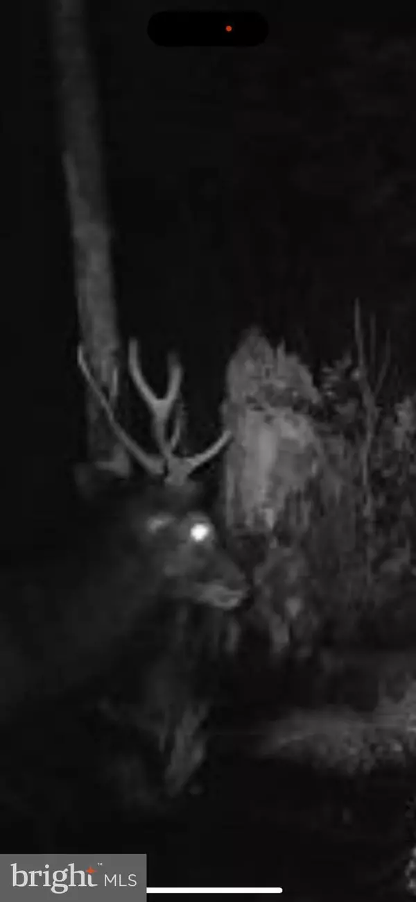 Wingate, MD 21675,2265 WINGATE BISHOPS HEAD RD