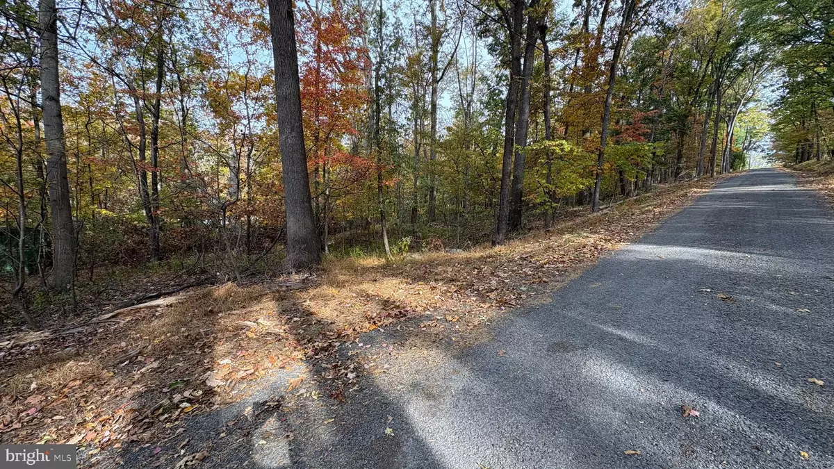 Winchester, VA 22602,LOT 20 PINTO TRAIL